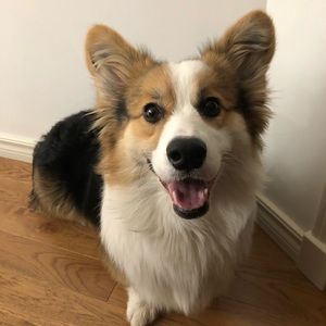 Meet your Posher, Amandy